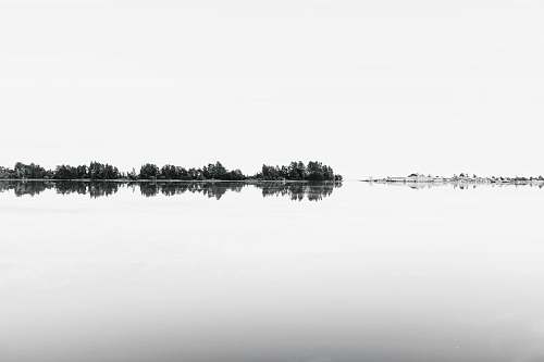 rabbit island reflection of trees in water new zealand